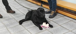 image015
