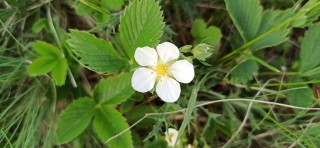image046