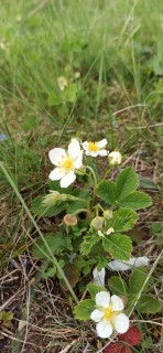 image048