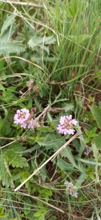 image049