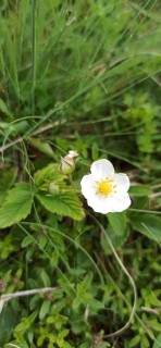 image050