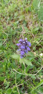 image051