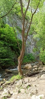 image063