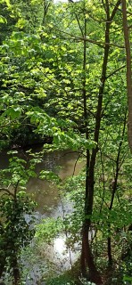 image071