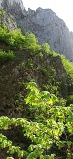 image072