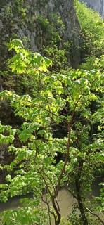 image073