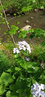 image079
