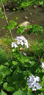image080