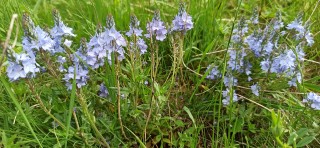 image090