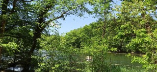 image117