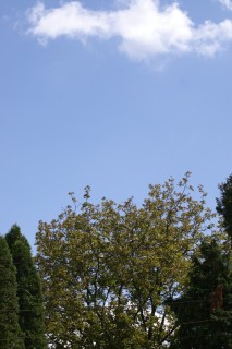 image084