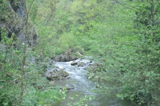 image109