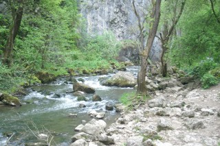 image110