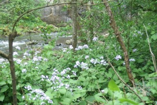 image112