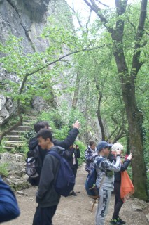 image114