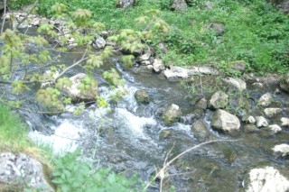 image120