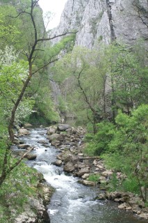 image121