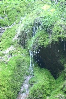 image123