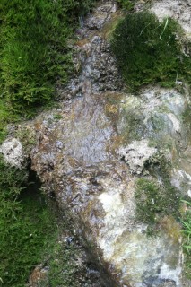 image124