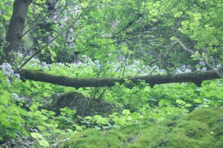image125