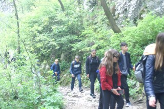 image126