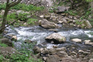 image127