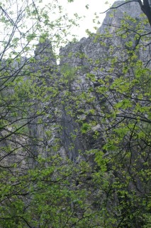 image128