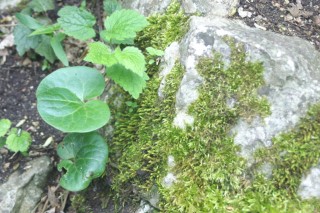 image131