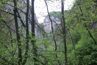 image132