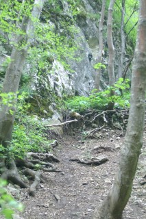 image137