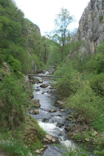 image138