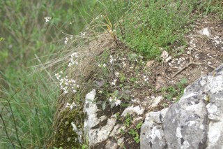 image152