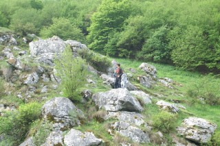 image158