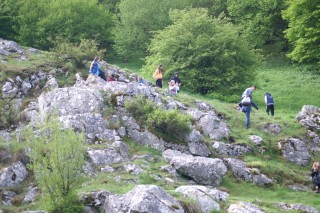 image171