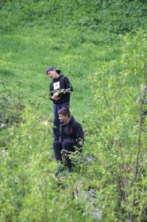 image176