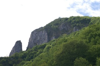 image209