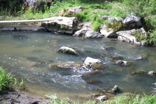 image218
