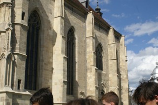 image253