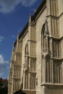 image254